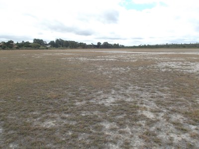 Encontro no Distrito de Lagoa Grande para tratar de assunto referente ao desassoreamento da Lagoa (17-07-201 (6).JPG