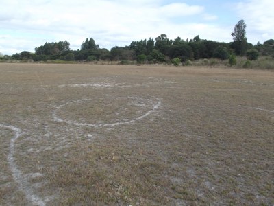 Encontro no Distrito de Lagoa Grande para tratar de assunto referente ao desassoreamento da Lagoa (17-07-201 (8).JPG