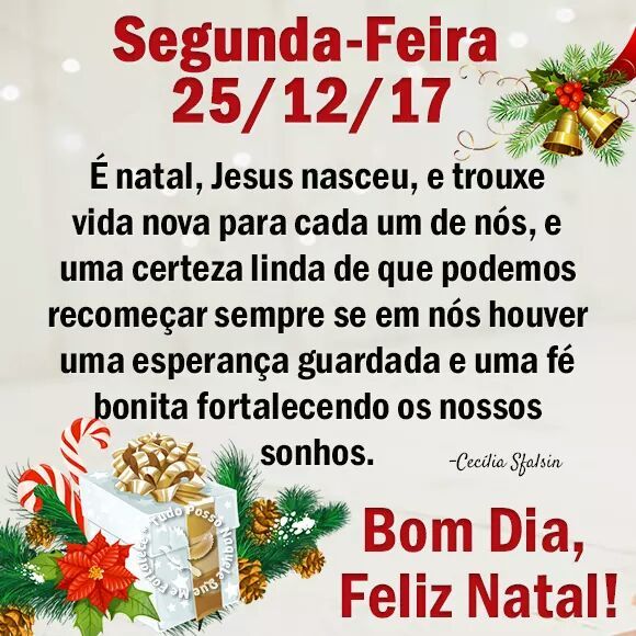 A Câmara Municipal, por intermédio dos Vereadores e Servidores, deseja a todos um Feliz Natal!